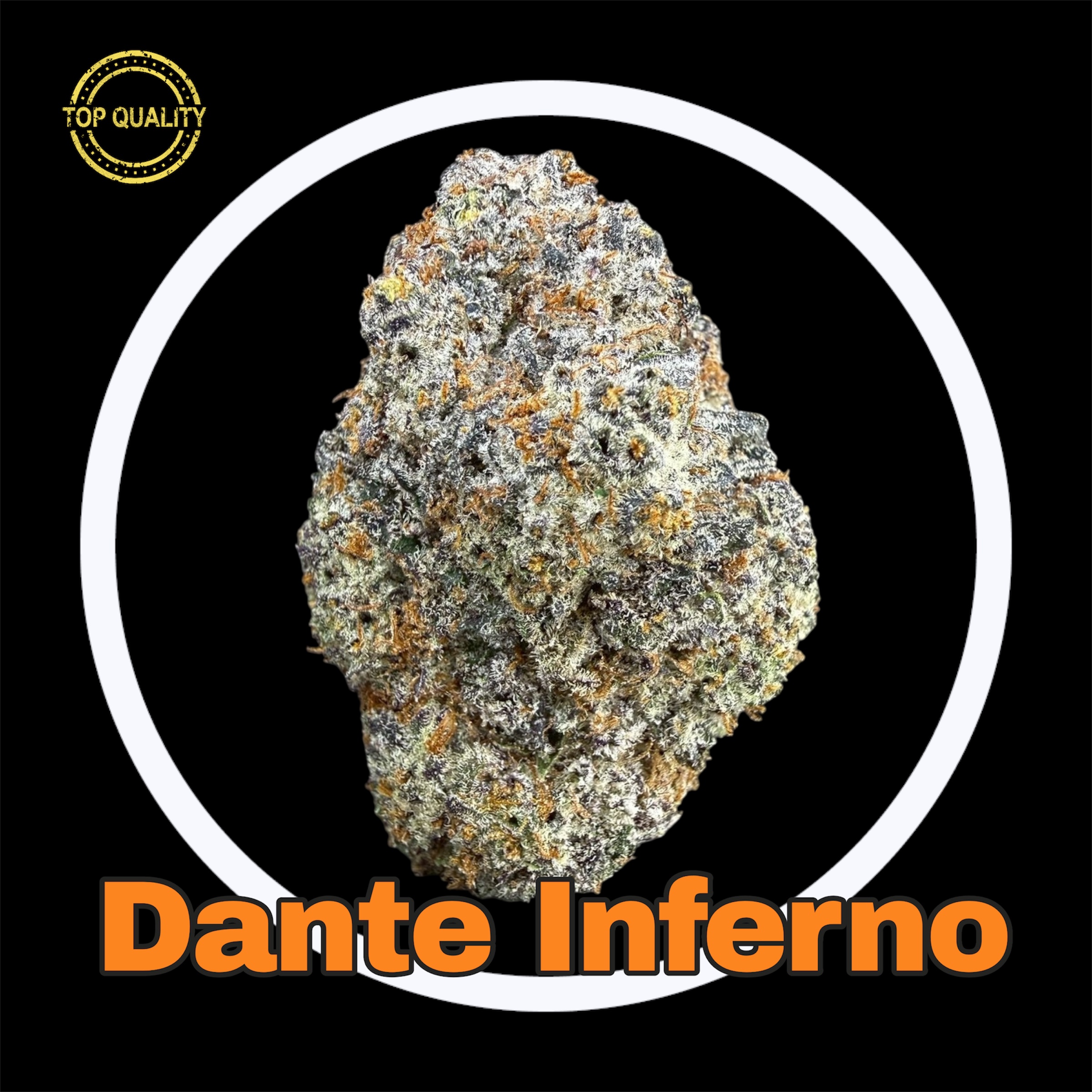 30-03-26 07-16-10pm.jpg